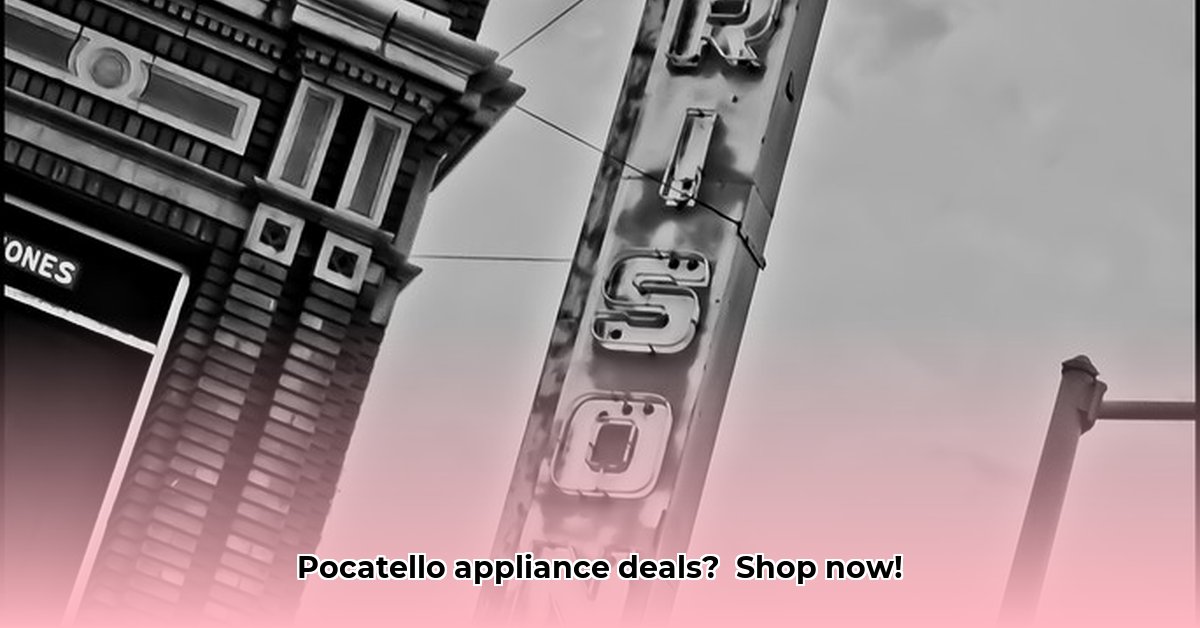pocatello-electric-pocatello-id